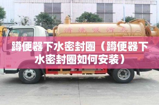 蹲便器下水密封圈(蹲便器下水密封圈如何安裝) 蹲便器下水密封圈(蹲便器下水密封圈如何安裝)