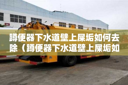 蹲便器下水道壁上屎垢如何去除（蹲便器下水道壁上屎垢如何去除尿堿）
