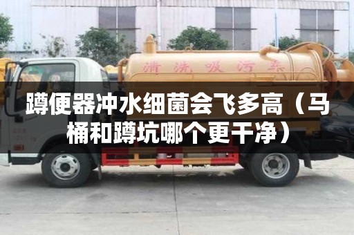 蹲便器沖水細菌會飛多高（馬桶和蹲坑哪個更干凈）
