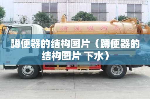 蹲便器的結(jié)構(gòu)圖片（蹲便器的結(jié)構(gòu)圖片 下水）