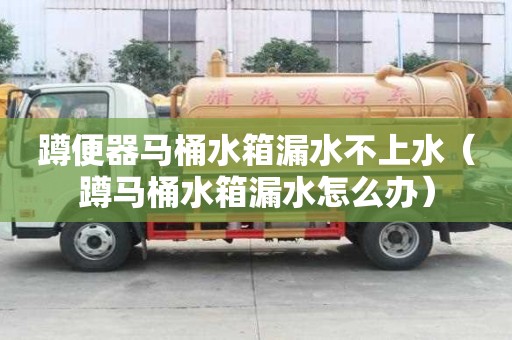 蹲便器馬桶水箱漏水不上水（蹲馬桶水箱漏水怎么辦）
