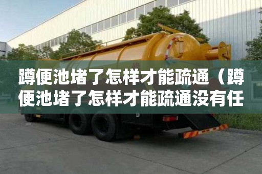 蹲便池堵了怎樣才能疏通（蹲便池堵了怎樣才能疏通沒有任何工具）