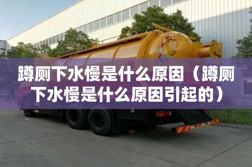 蹲廁下水慢是什么原因（蹲廁下水慢是什么原因引起的）