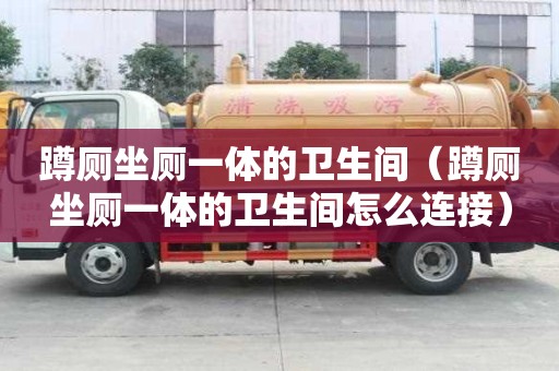 蹲廁坐廁一體的衛生間（蹲廁坐廁一體的衛生間怎么連接）