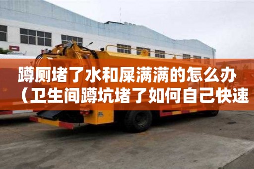 蹲廁堵了水和屎滿滿的怎么辦（衛(wèi)生間蹲坑堵了如何自己快速疏通）
