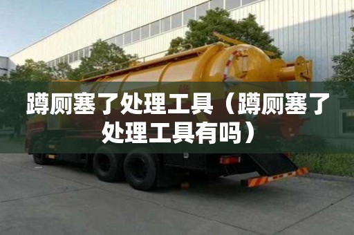 蹲廁塞了處理工具（蹲廁塞了處理工具有嗎）