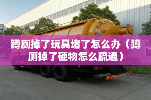 蹲廁掉了玩具堵了怎么辦（蹲廁掉了硬物怎么疏通）