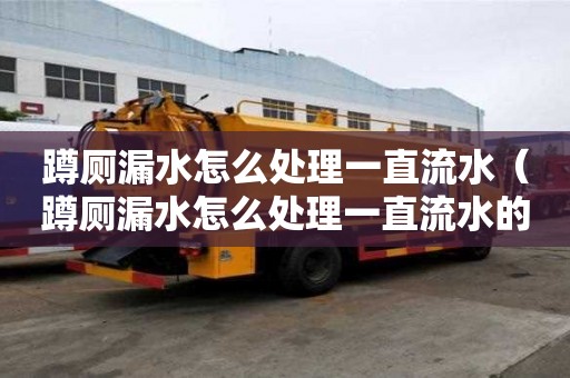蹲廁漏水怎么處理一直流水（蹲廁漏水怎么處理一直流水的）
