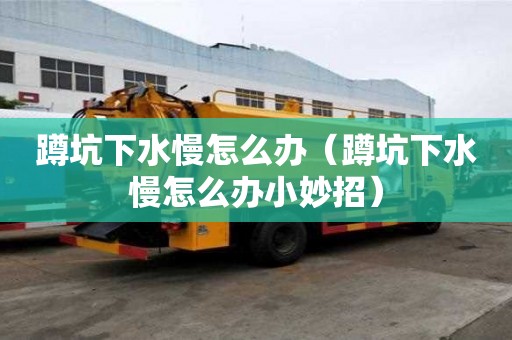 蹲坑下水慢怎么辦（蹲坑下水慢怎么辦小妙招）
