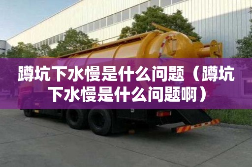蹲坑下水慢是什么問題（蹲坑下水慢是什么問題?。? >
                        </div>
                        <div   id=