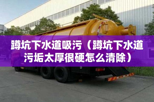 蹲坑下水道吸污（蹲坑下水道污垢太厚很硬怎么清除）