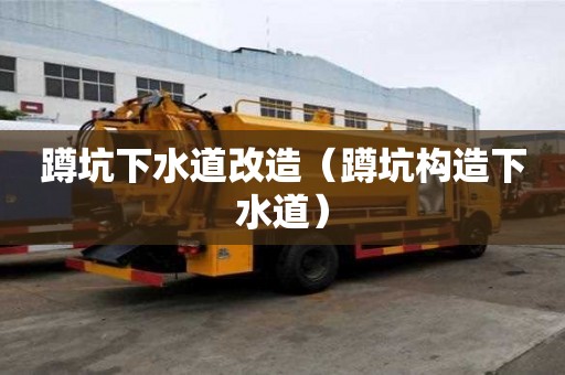 蹲坑下水道改造（蹲坑構(gòu)造下水道）