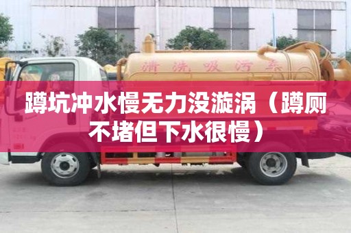 蹲坑沖水慢無力沒漩渦（蹲廁不堵但下水很慢）