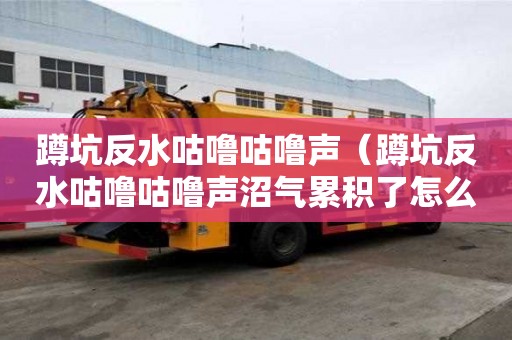 蹲坑反水咕嚕咕嚕聲（蹲坑反水咕嚕咕嚕聲沼氣累積了怎么辦）