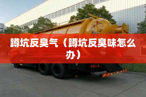 蹲坑反臭氣（蹲坑反臭味怎么辦）