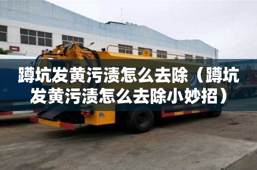 蹲坑發(fā)黃污漬怎么去除（蹲坑發(fā)黃污漬怎么去除小妙招）