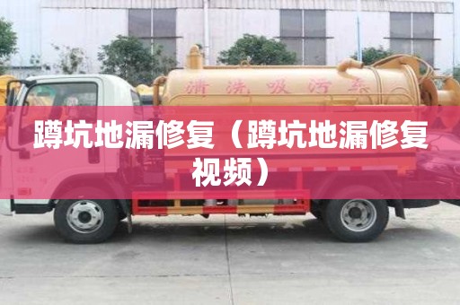 蹲坑地漏修復（蹲坑地漏修復視頻）