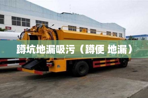 蹲坑地漏吸污(蹲便 地漏) 蹲坑地漏吸污(蹲便 地漏)