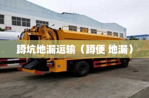 蹲坑地漏運輸（蹲便 地漏）