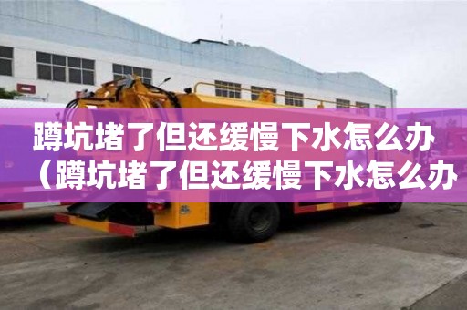 蹲坑堵了但還緩慢下水怎么辦（蹲坑堵了但還緩慢下水怎么辦視頻）