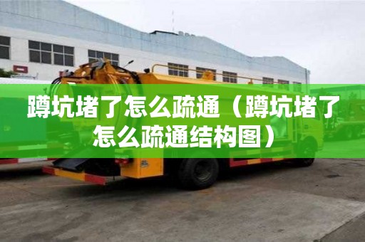 蹲坑堵了怎么疏通（蹲坑堵了怎么疏通結構圖）