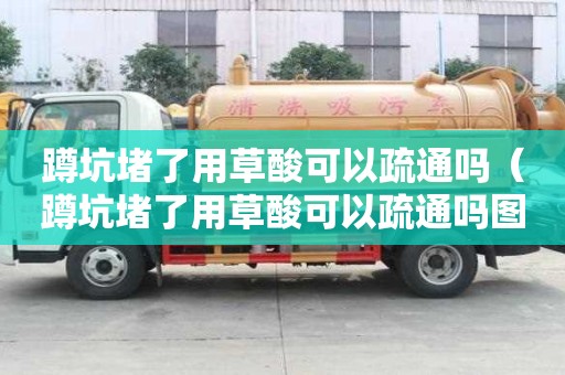蹲坑堵了用草酸可以疏通嗎（蹲坑堵了用草酸可以疏通嗎圖片）