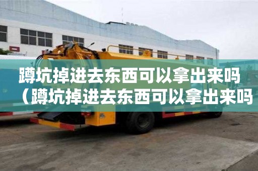 蹲坑掉進(jìn)去東西可以拿出來嗎（蹲坑掉進(jìn)去東西可以拿出來嗎?）
