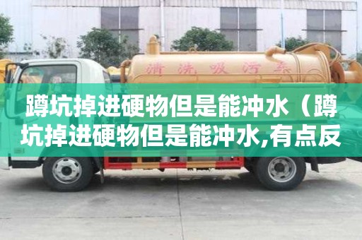 蹲坑掉進硬物但是能沖水（蹲坑掉進硬物但是能沖水,有點反水怎么辦）