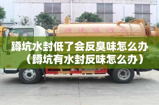 蹲坑水封低了會(huì)反臭味怎么辦（蹲坑有水封反味怎么辦）