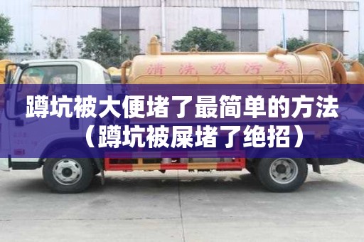 蹲坑被大便堵了最簡單的方法（蹲坑被屎堵了絕招）