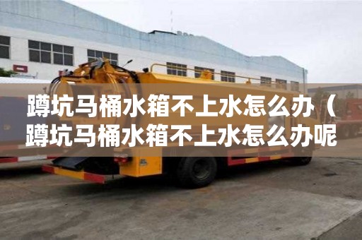 蹲坑馬桶水箱不上水怎么辦（蹲坑馬桶水箱不上水怎么辦呢）