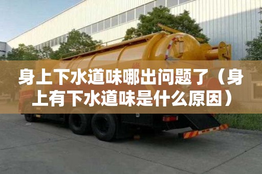身上下水道味哪出問題了（身上有下水道味是什么原因）