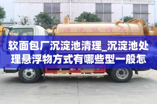 軟面包廠沉淀池清理_沉淀池處理懸浮物方式有哪些型一般怎么收費