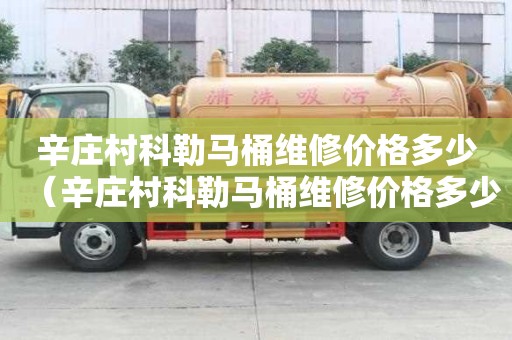 辛莊村科勒馬桶維修價格多少（辛莊村科勒馬桶維修價格多少錢啊）