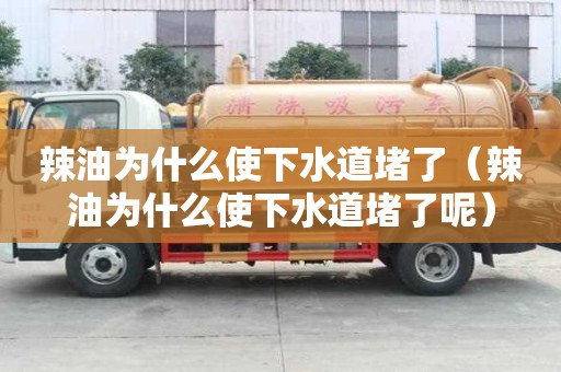 辣油為什么使下水道堵了（辣油為什么使下水道堵了呢）