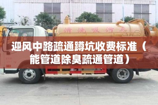 迎風中路疏通蹲坑收費標準（能管道除臭疏通管道）