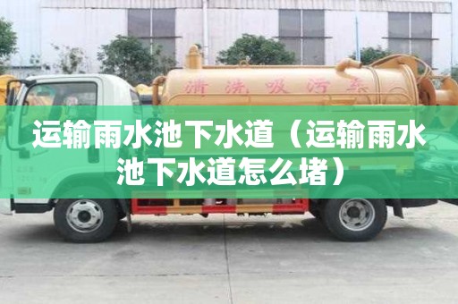 運輸雨水池下水道（運輸雨水池下水道怎么堵）