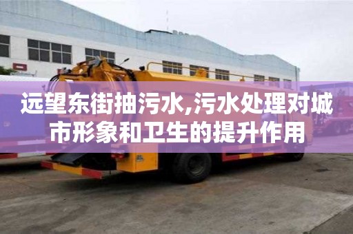 遠望東街抽污水,污水處理對城市形象和衛(wèi)生的提升作用