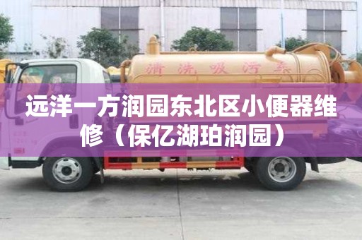 遠(yuǎn)洋一方潤(rùn)園東北區(qū)小便器維修（保億湖珀潤(rùn)園）