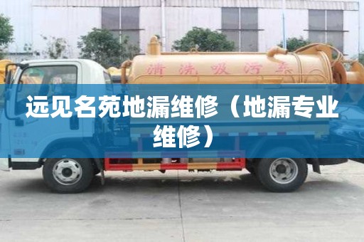遠(yuǎn)見名苑地漏維修（地漏專業(yè)維修）