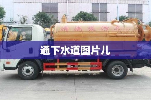 通下水道圖片兒 通下水道圖片兒