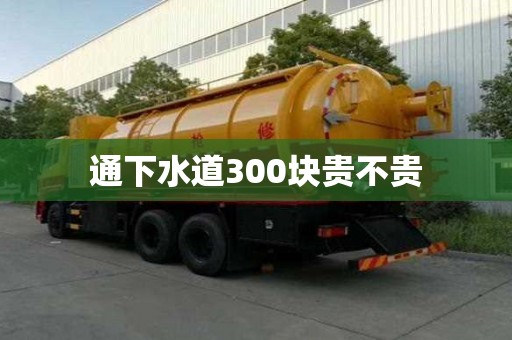通下水道300塊貴不貴