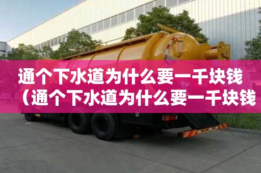 通個(gè)下水道為什么要一千塊錢（通個(gè)下水道為什么要一千塊錢呢）