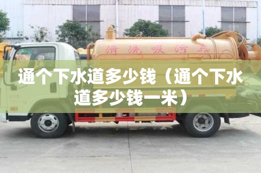 通個下水道多少錢（通個下水道多少錢一米）