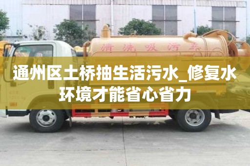 通州區(qū)土橋抽生活污水_修復(fù)水環(huán)境才能省心省力