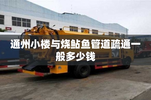 通州小樓與燒鲇魚管道疏通一般多少錢