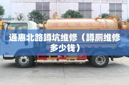 通惠北路蹲坑維修（蹲廁維修多少錢）