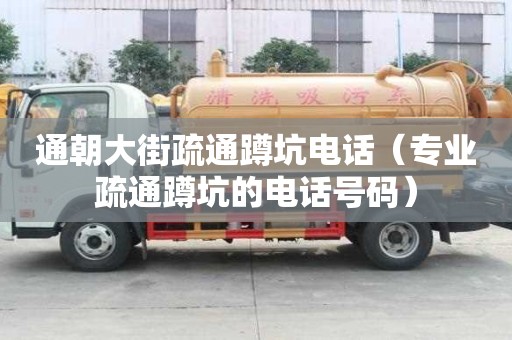 通朝大街疏通蹲坑電話（專業疏通蹲坑的電話號碼）