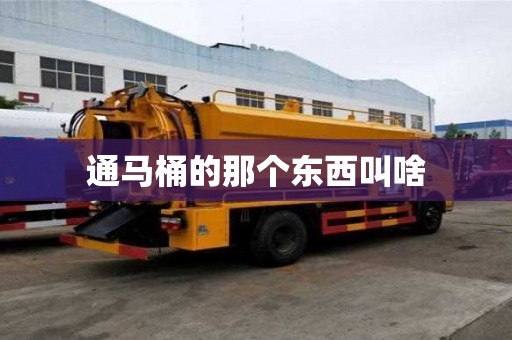 通馬桶的那個東西叫啥