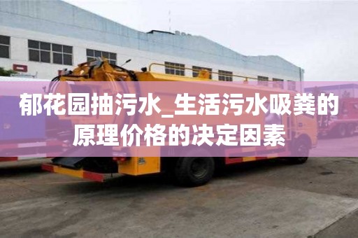 郁花園抽污水_生活污水吸糞的原理價格的決定因素